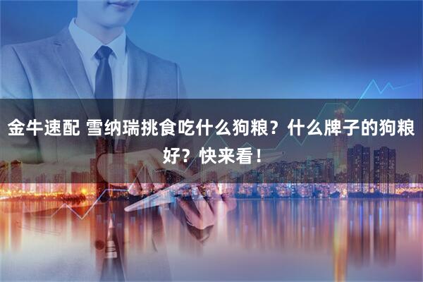 金牛速配 雪纳瑞挑食吃什么狗粮？什么牌子的狗粮好？快来看！