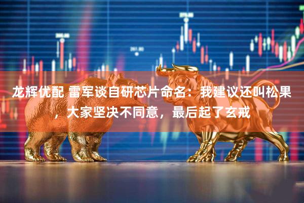 龙辉优配 雷军谈自研芯片命名：我建议还叫松果，大家坚决不同意，最后起了玄戒