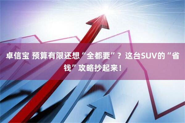 卓信宝 预算有限还想“全都要”？这台SUV的“省钱”攻略抄起来！