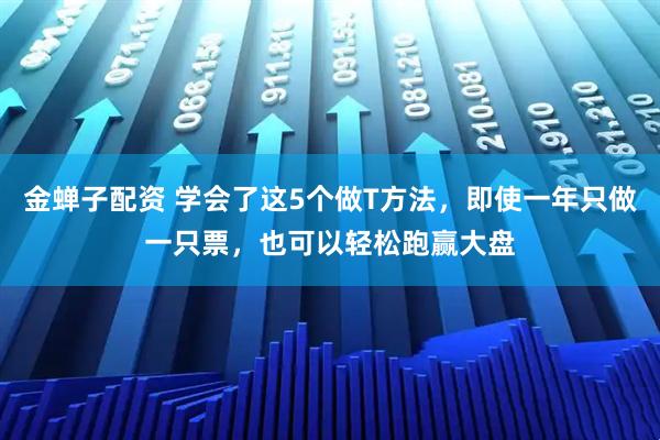 金蝉子配资 学会了这5个做T方法，即使一年只做一只票，也可以轻松跑赢大盘